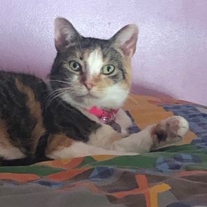 Meet your Posher, Tara